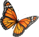 Mariposa EAPS